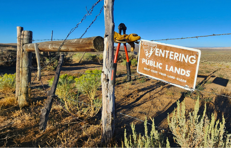 A fence with barbed wire fence. A brown and white sign from the U.S. Bureau of Land Management that reads, "Entering Public Lands."