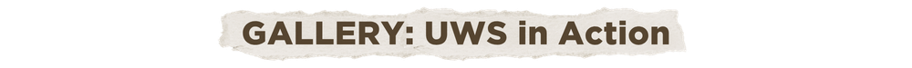 Torn piece of paper with brown text reads, "GALLERY: UWS in Action"